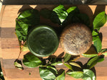 Tea Time Green Tea Extract Moringa Tea Tree Facial Soap Bar