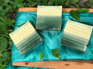 Mens Tempted To Touch Honey Oatmeal Fennel Seed Chlorophyll Powder Essential Soap Bar